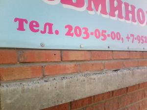Фотография Осьминожка 3