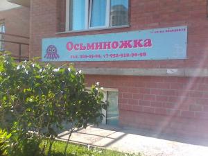 Фотография Осьминожка 1